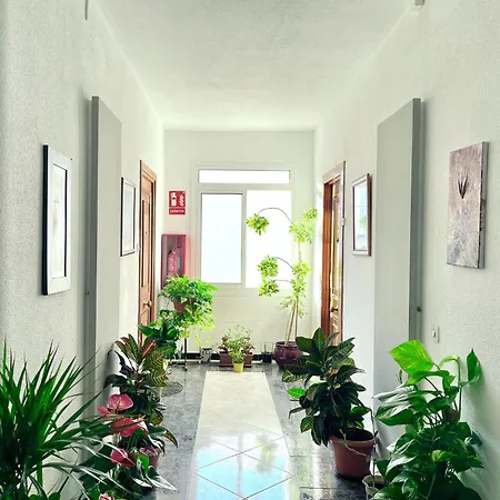 Apartment In Near Seabeach *