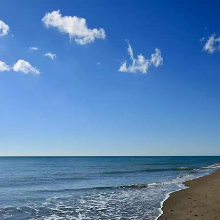 Apartment In Near Seabeach *